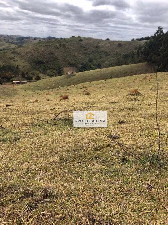 Small farm of 51 acres in Taubaté, SP, Brazil