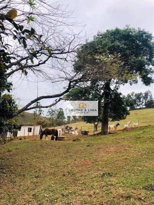 Small farm of 51 acres in Taubaté, SP, Brazil