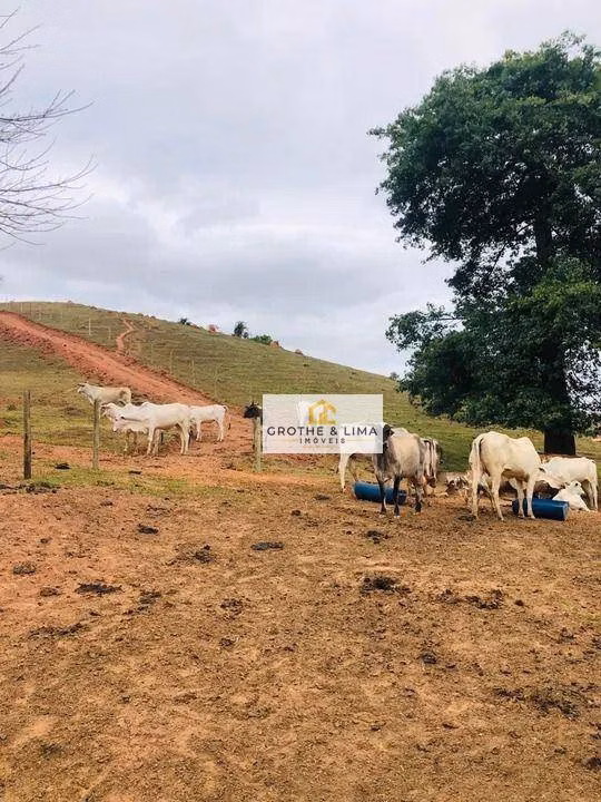 Small farm of 51 acres in Taubaté, SP, Brazil