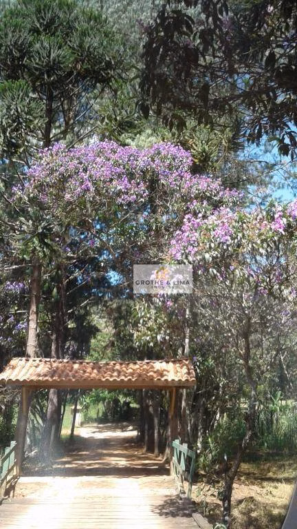 Small farm of 87 acres in Cunha, SP, Brazil