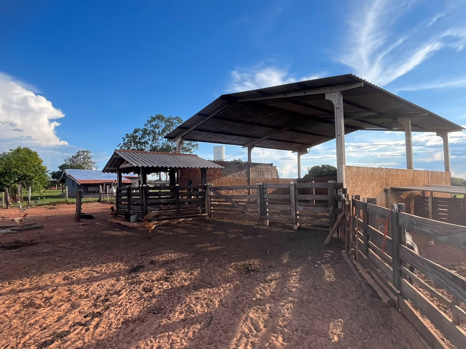 Farm of 7,426 acres in Ribas do Rio Pardo, MS, Brazil