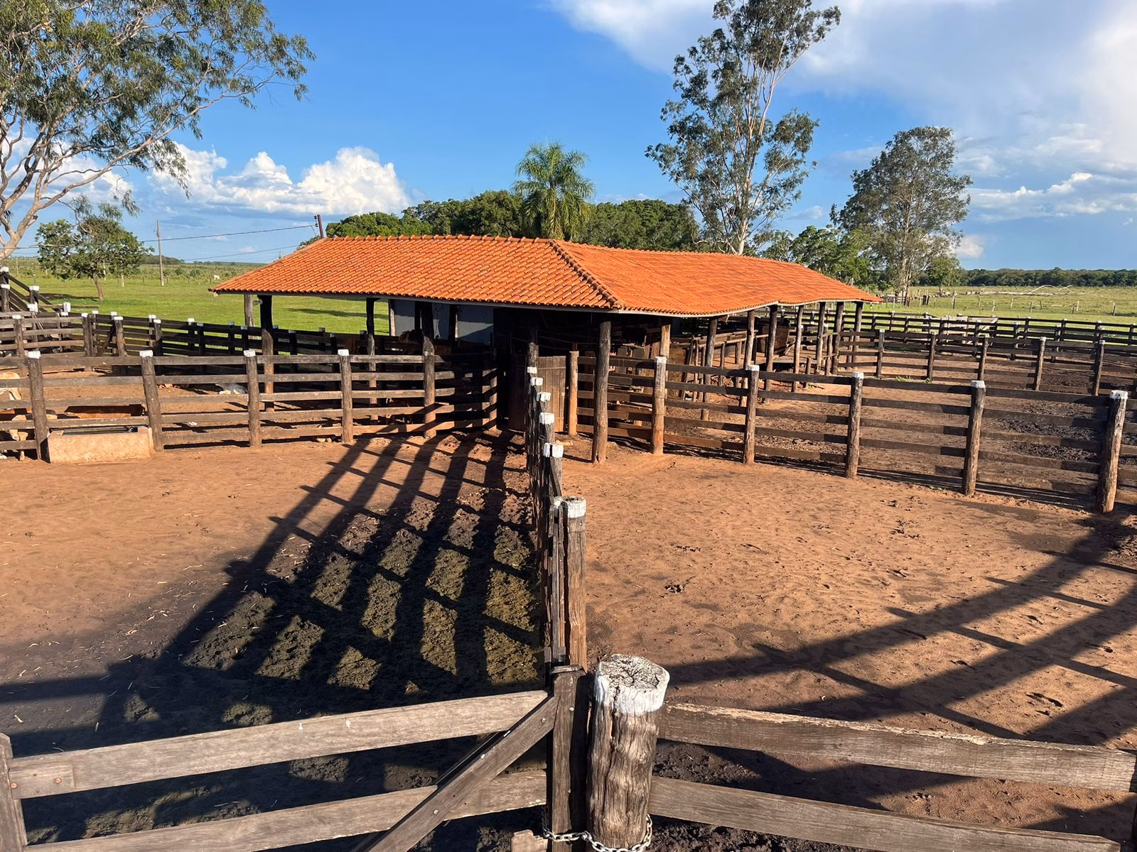 Farm of 7,426 acres in Ribas do Rio Pardo, MS, Brazil