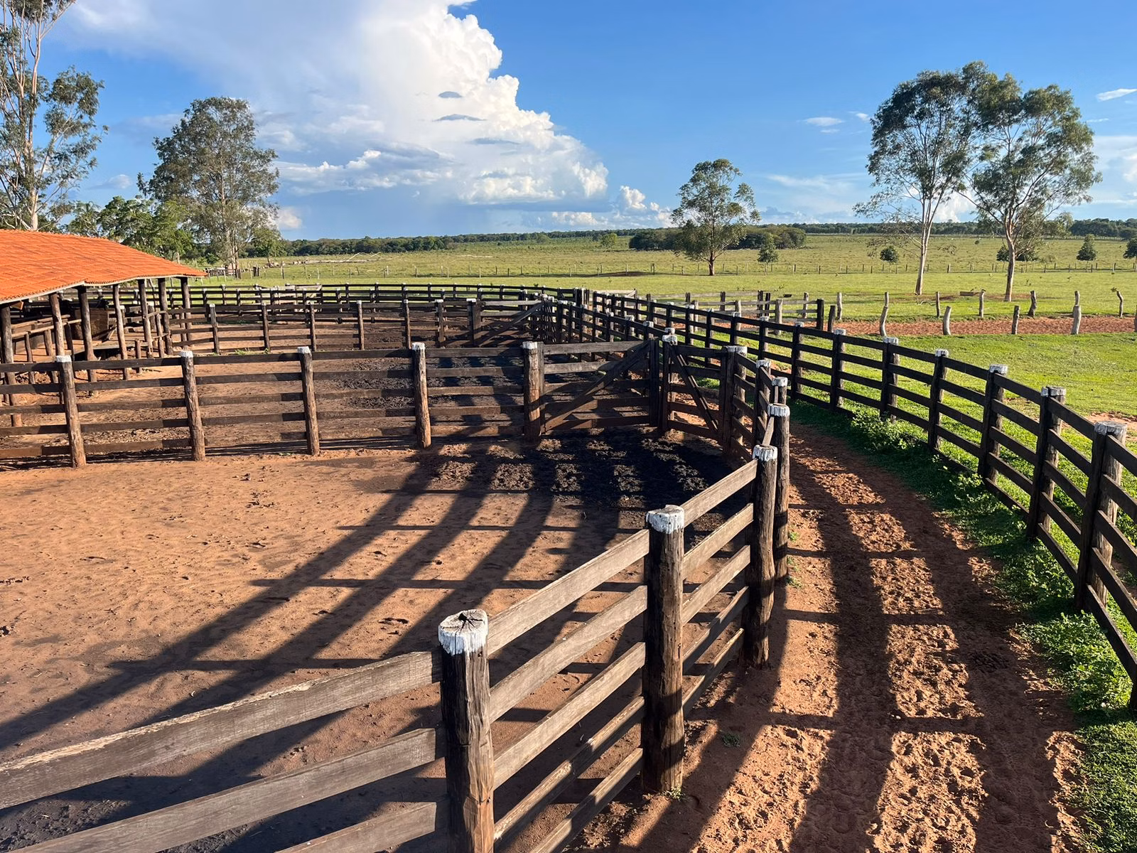 Farm of 7,426 acres in Ribas do Rio Pardo, MS, Brazil