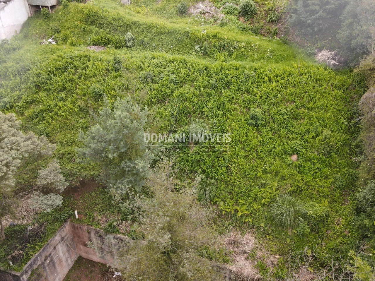 Terreno de 1.150 m² em Campos do Jordão, SP