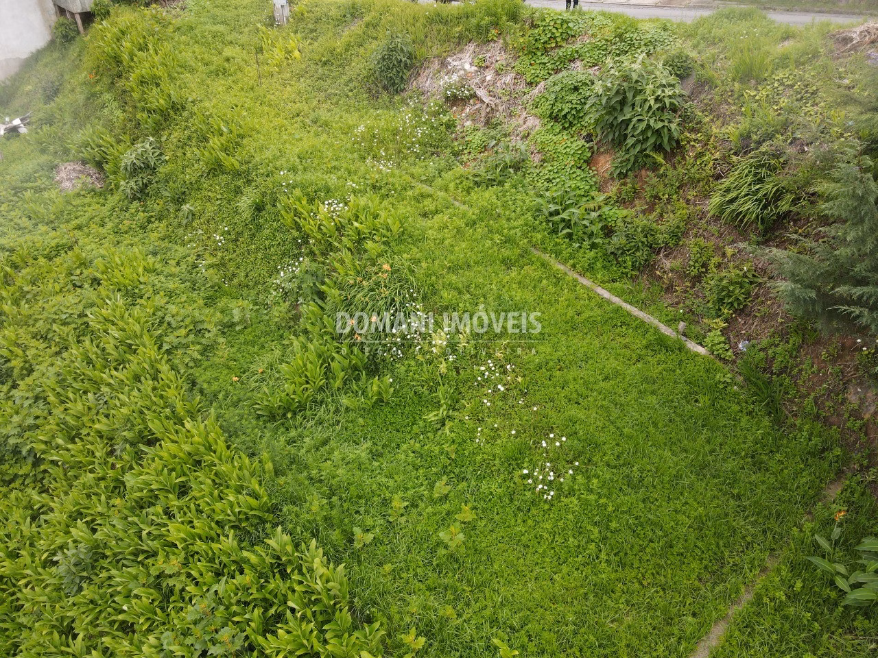 Terreno de 1.150 m² em Campos do Jordão, SP