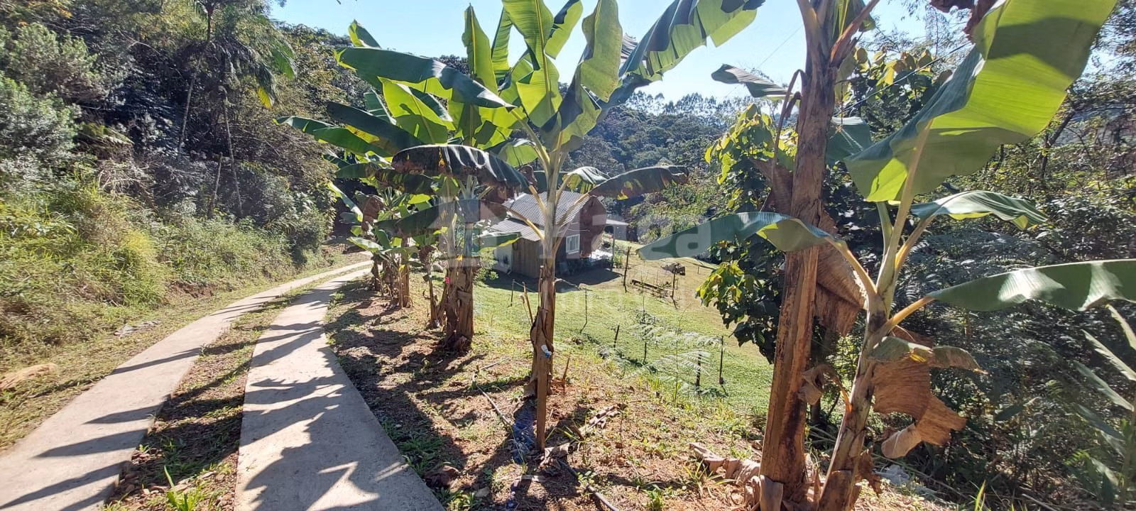Farm of 5 acres in Águas Mornas, SC, Brazil
