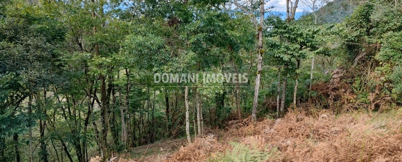 Terreno de 2 ha em Sapucaí-Mirim, MG