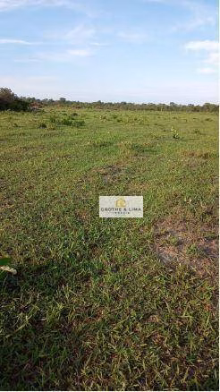 Fazenda de 5.000 ha em Alto Boa Vista, MT