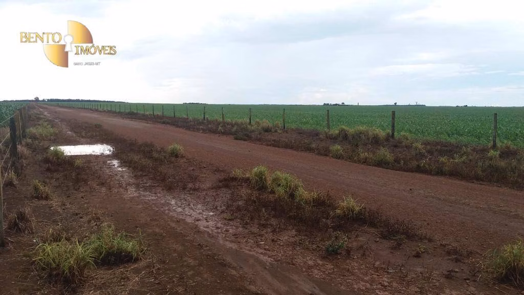 Fazenda de 1.998 ha em Tapurah, MT