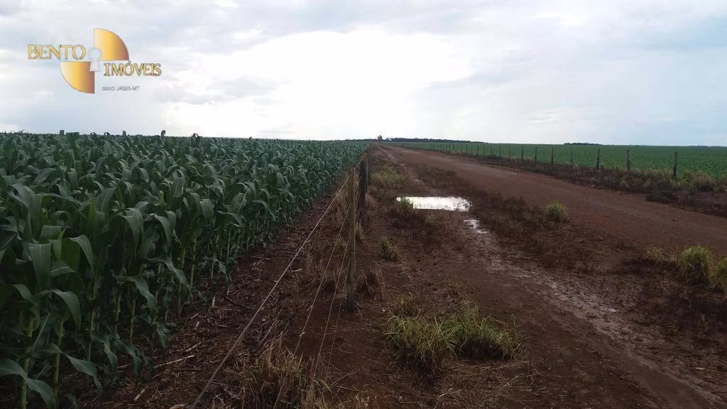 Fazenda de 1.998 ha em Tapurah, MT