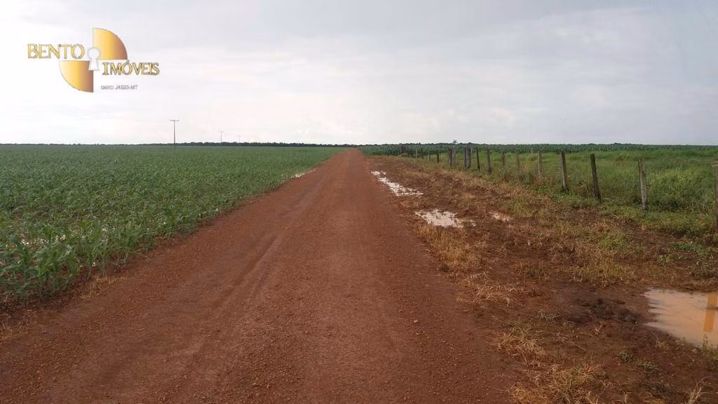 Fazenda de 1.998 ha em Tapurah, MT