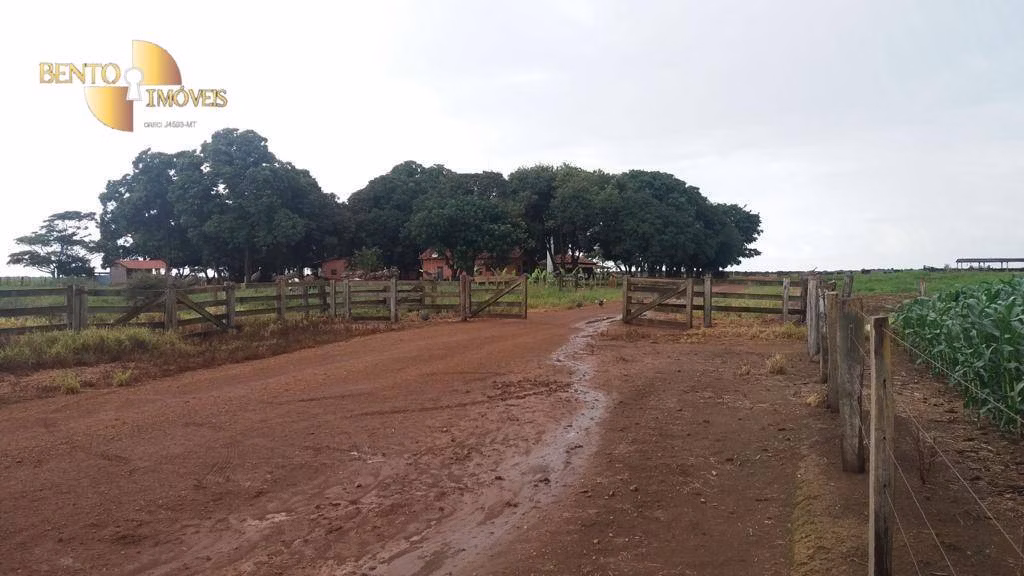 Fazenda de 1.998 ha em Tapurah, MT