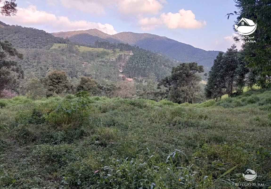 Small farm of 10 acres in São José dos Campos, SP, Brazil