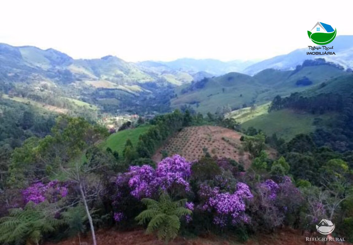Small farm of 10 acres in São José dos Campos, SP, Brazil