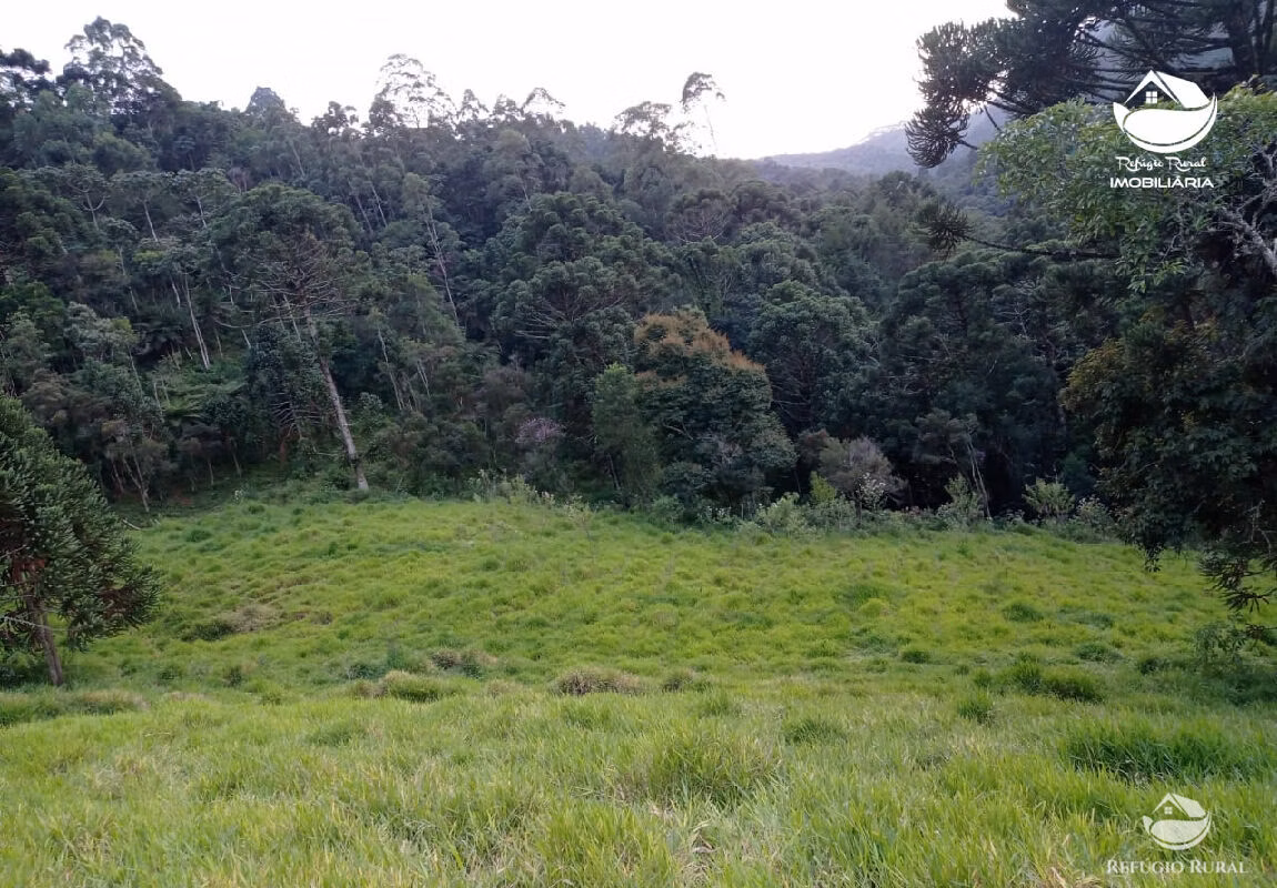 Small farm of 10 acres in São José dos Campos, SP, Brazil
