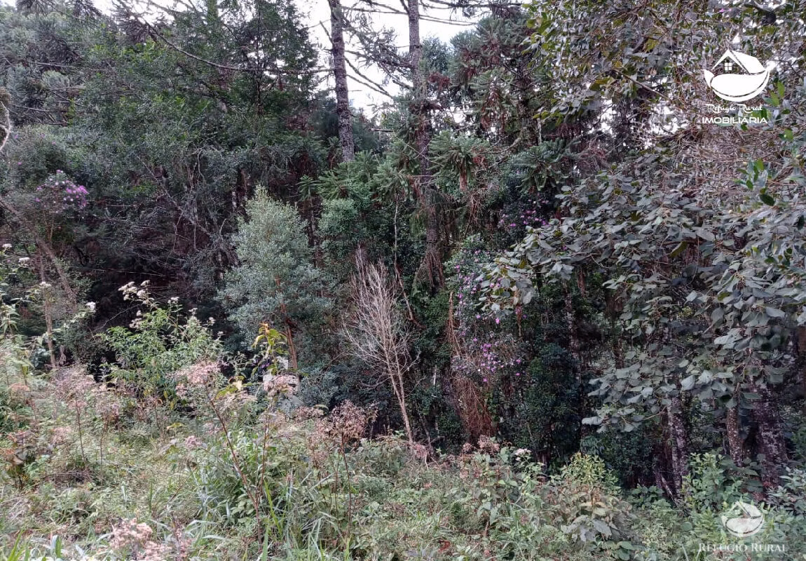 Small farm of 10 acres in São José dos Campos, SP, Brazil