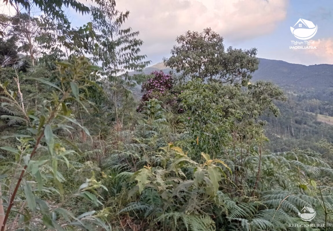 Small farm of 10 acres in São José dos Campos, SP, Brazil