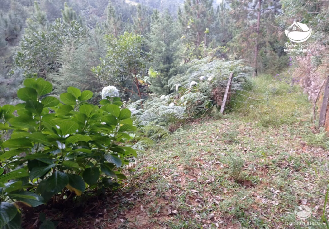 Small farm of 10 acres in São José dos Campos, SP, Brazil