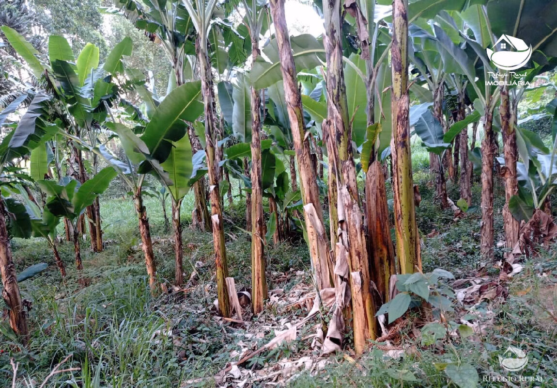 Small farm of 10 acres in São José dos Campos, SP, Brazil