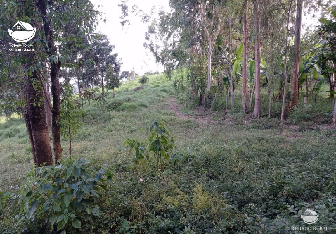 Small farm of 10 acres in São José dos Campos, SP, Brazil
