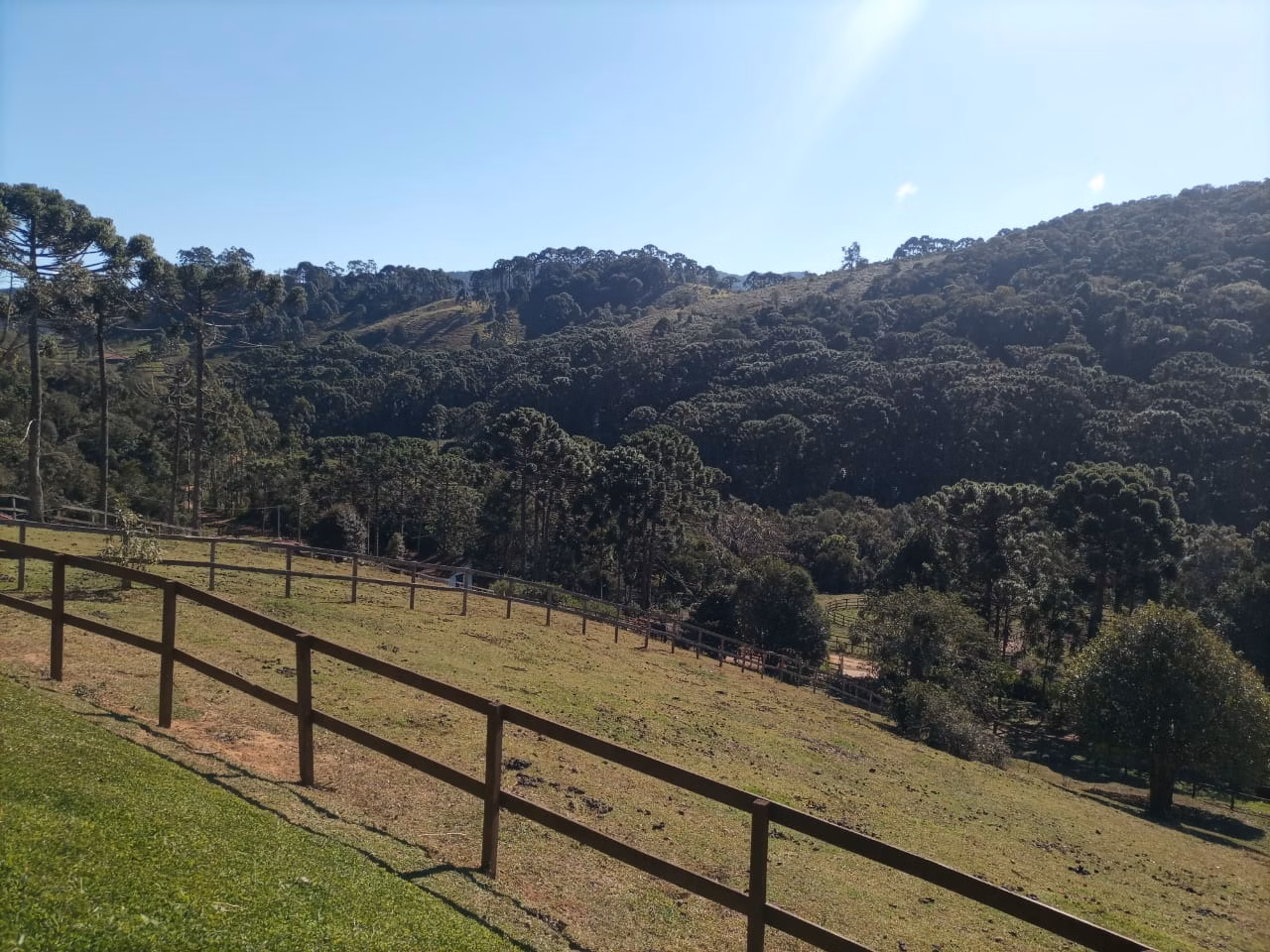 Sítio de 6 ha em Sapucaí-Mirim, MG