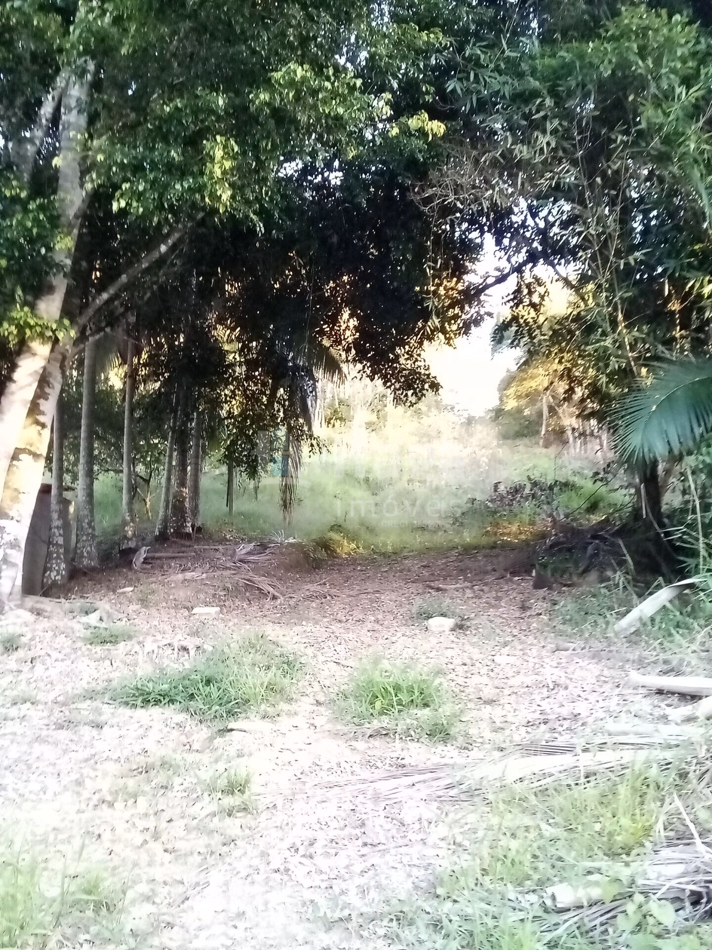 Farm of 2 acres in Guabiruba, SC, Brazil