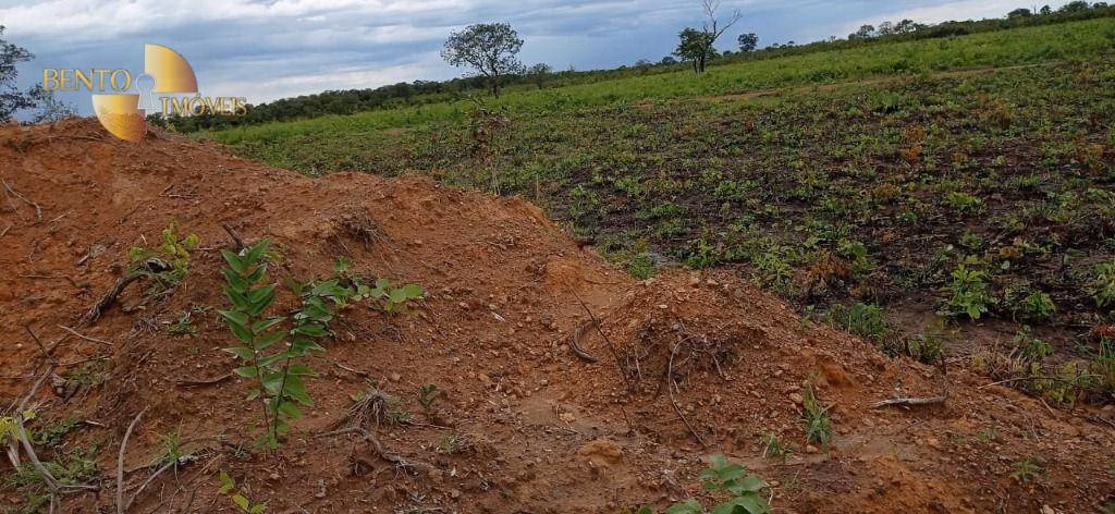 Fazenda de 1.094 ha em Porto Alegre do Norte, MT