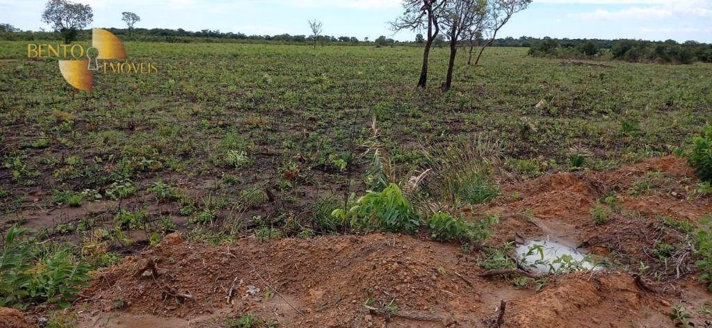 Fazenda de 1.094 ha em Porto Alegre do Norte, MT