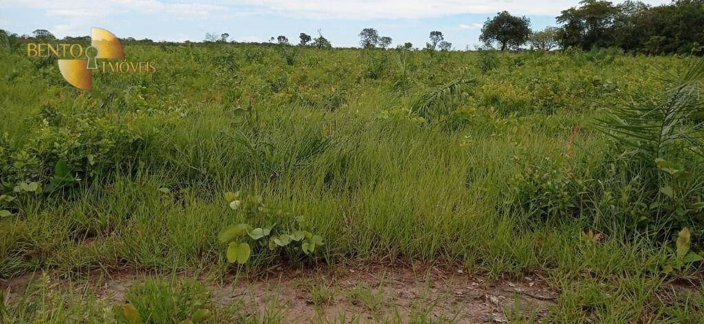 Fazenda de 1.094 ha em Porto Alegre do Norte, MT