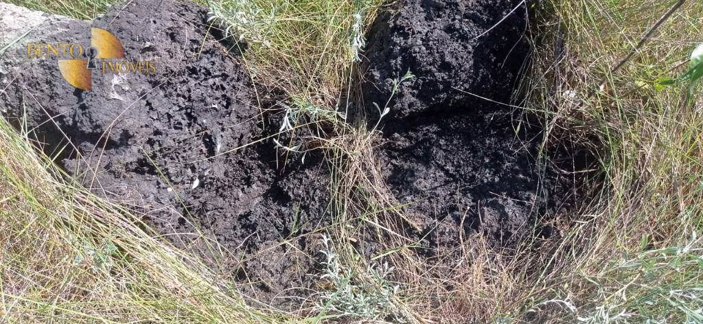 Fazenda de 1.094 ha em Porto Alegre do Norte, MT