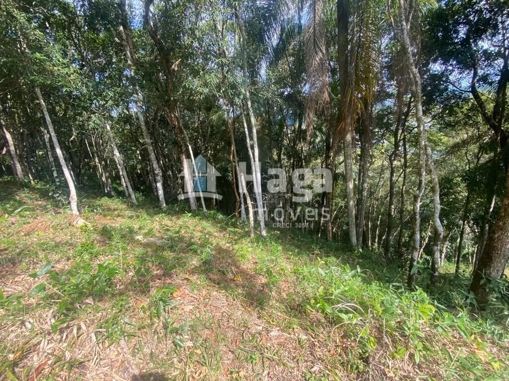 Terreno de 1 ha em São João Batista, SC