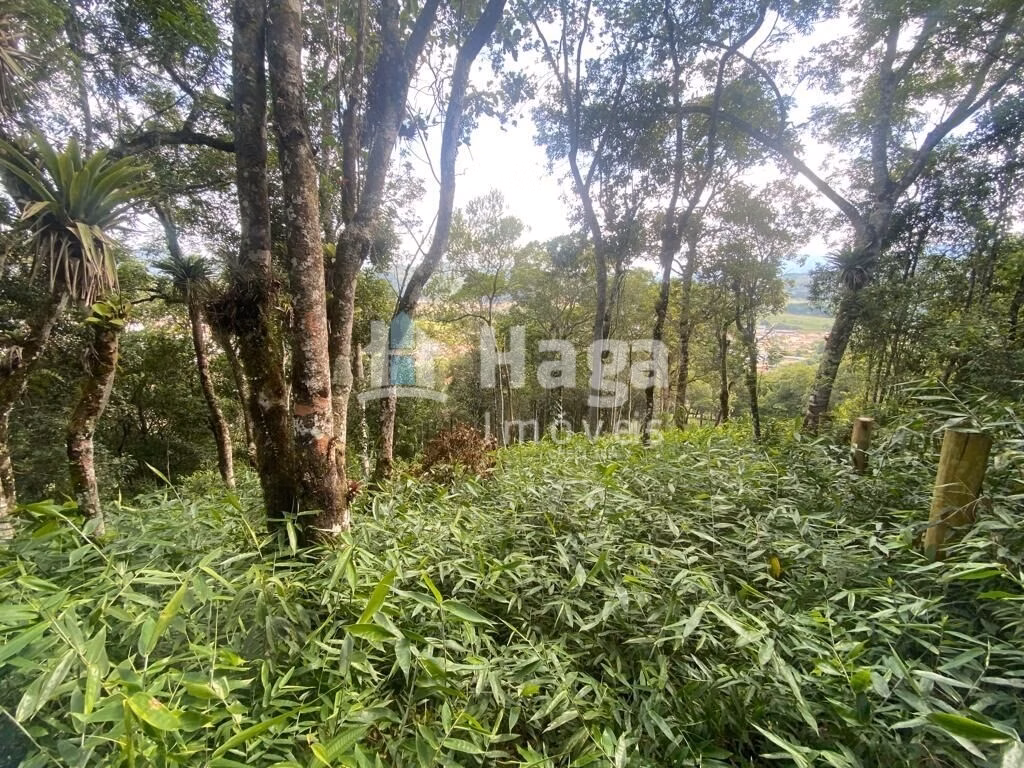 Terreno de 1 ha em São João Batista, SC