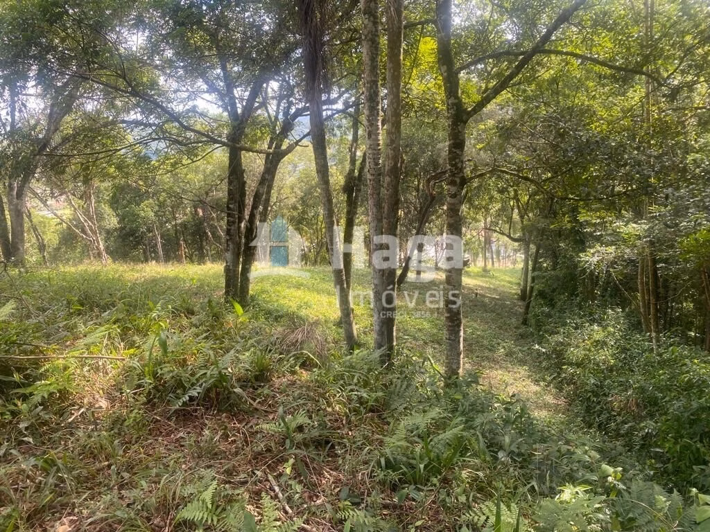 Terreno de 1 ha em São João Batista, SC