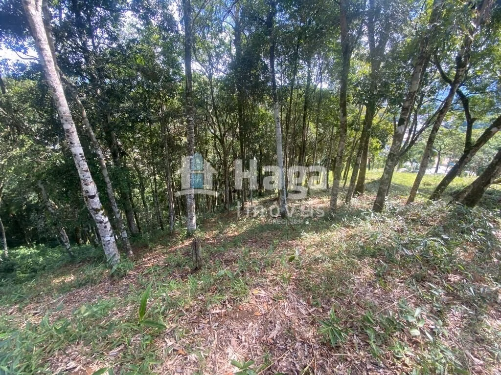 Terreno de 1 ha em São João Batista, SC