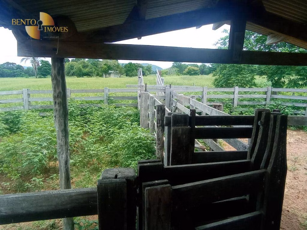 Fazenda de 226 ha em Santo Antônio de Leverger, MT