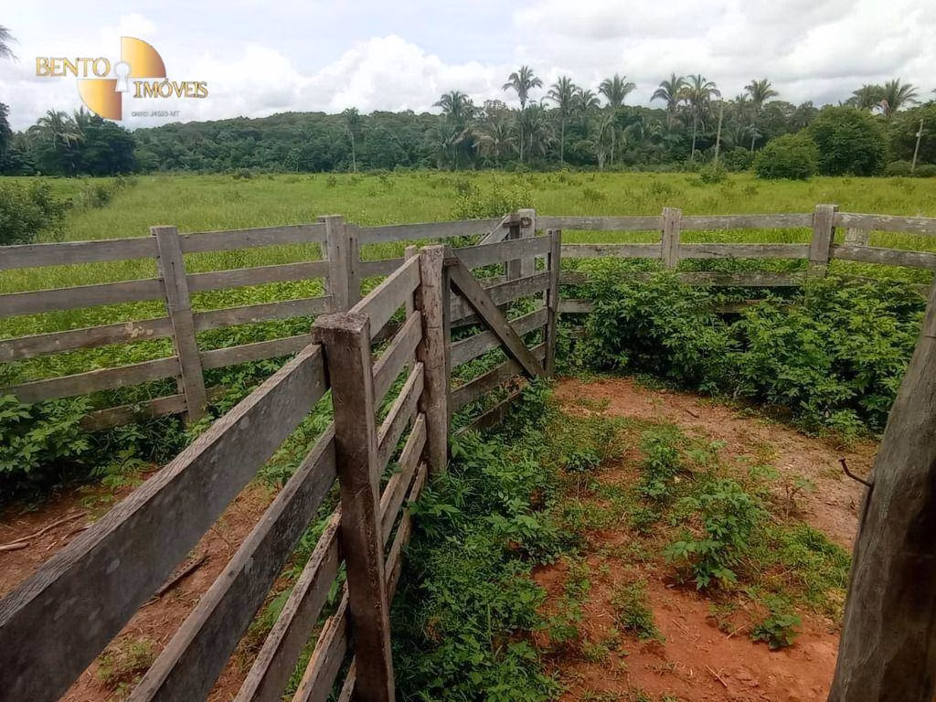 Fazenda de 226 ha em Santo Antônio de Leverger, MT