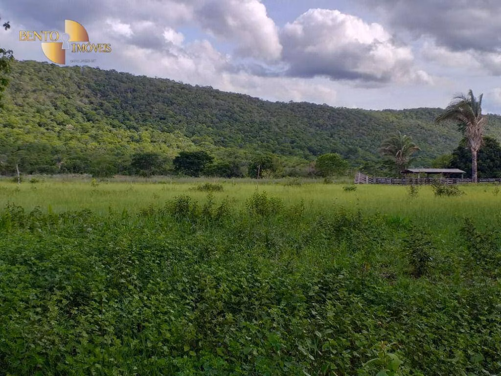 Fazenda de 226 ha em Santo Antônio de Leverger, MT