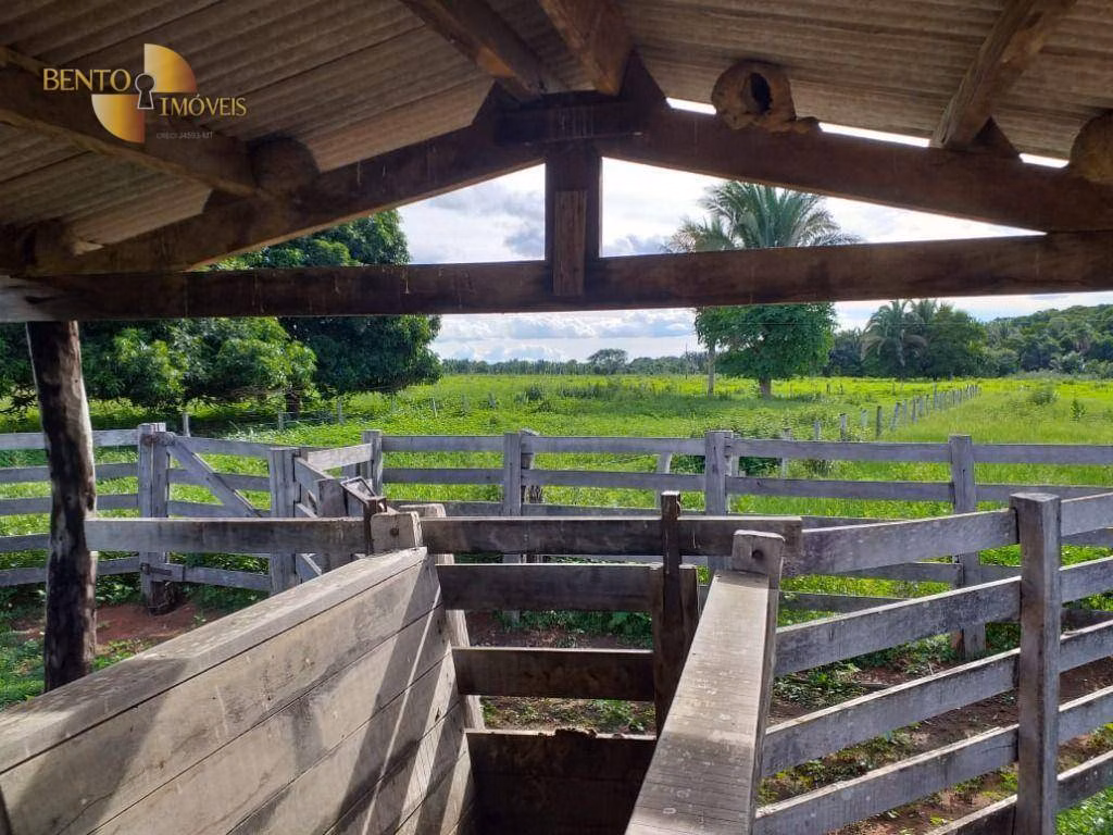 Fazenda de 226 ha em Santo Antônio de Leverger, MT
