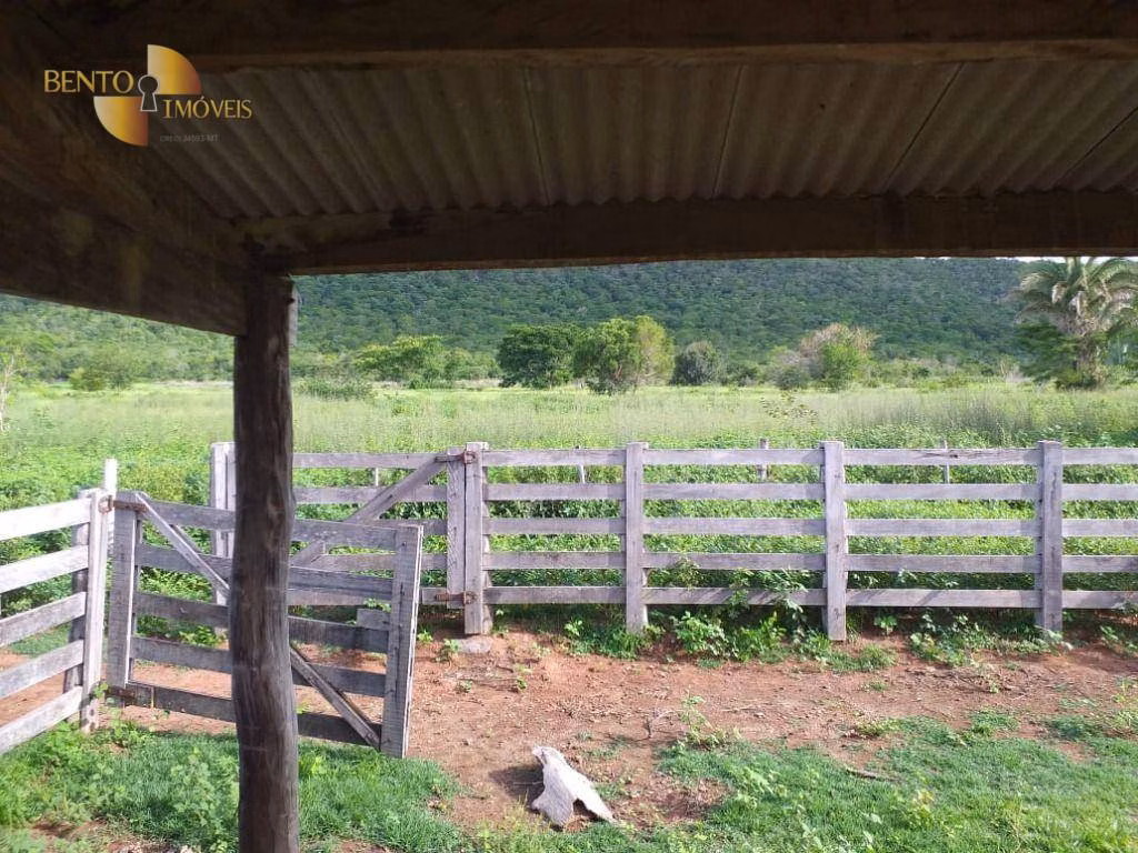 Fazenda de 226 ha em Santo Antônio de Leverger, MT