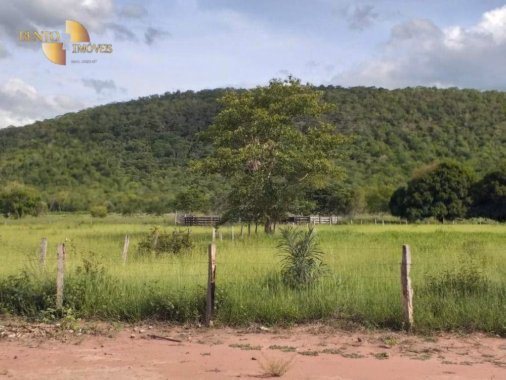 Fazenda de 226 ha em Santo Antônio de Leverger, MT