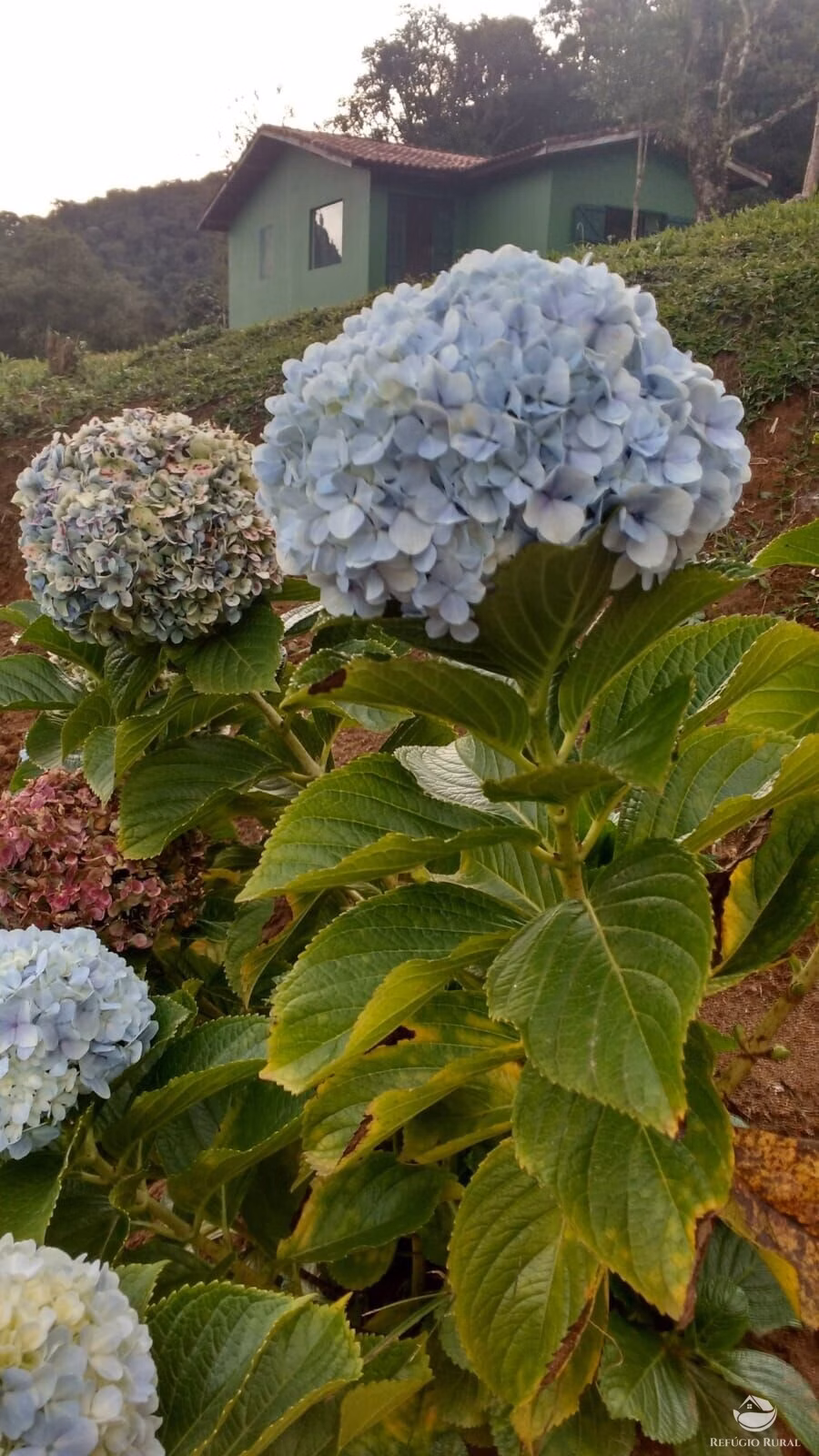 Small farm of 12 acres in São José dos Campos, SP, Brazil