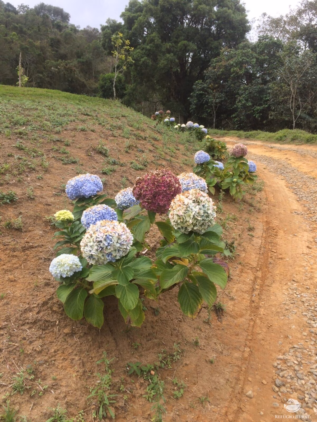 Small farm of 12 acres in São José dos Campos, SP, Brazil