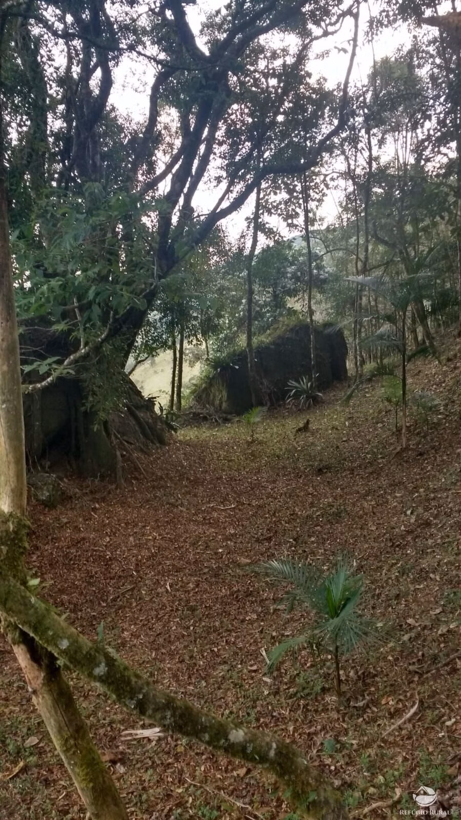 Small farm of 12 acres in São José dos Campos, SP, Brazil
