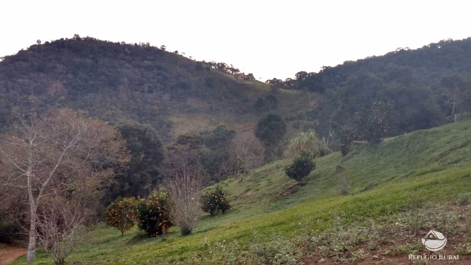 Small farm of 12 acres in São José dos Campos, SP, Brazil