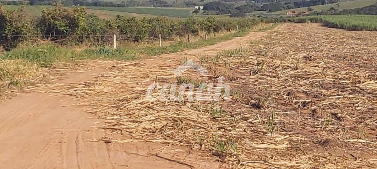 Fazenda à venda de 119 ha em Vargem Grande do Sul, SP