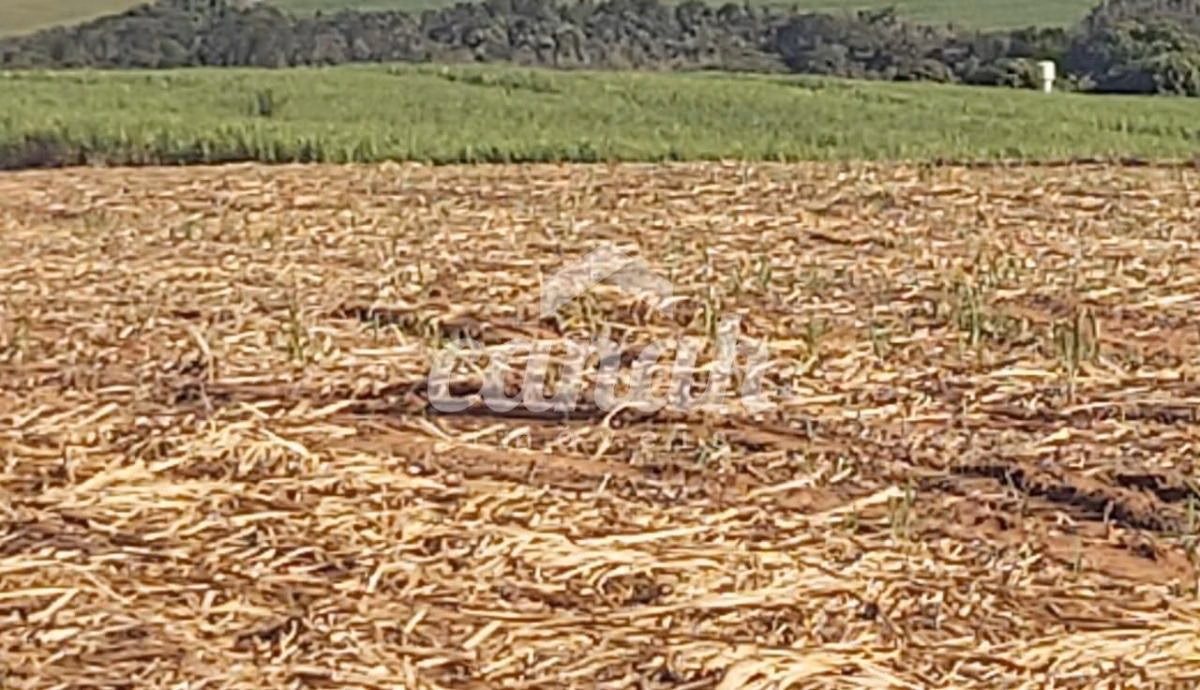 Fazenda à venda de 119 ha em Vargem Grande do Sul, SP