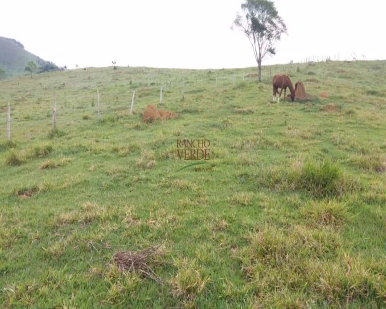 Sítio de 5 ha em Monteiro Lobato, SP