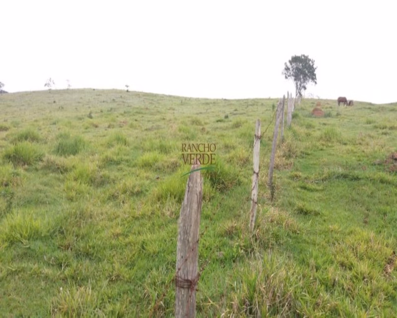 Sítio de 5 ha em Monteiro Lobato, SP