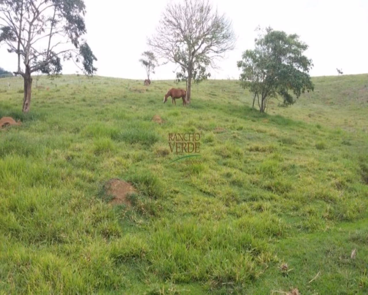 Sítio de 5 ha em Monteiro Lobato, SP