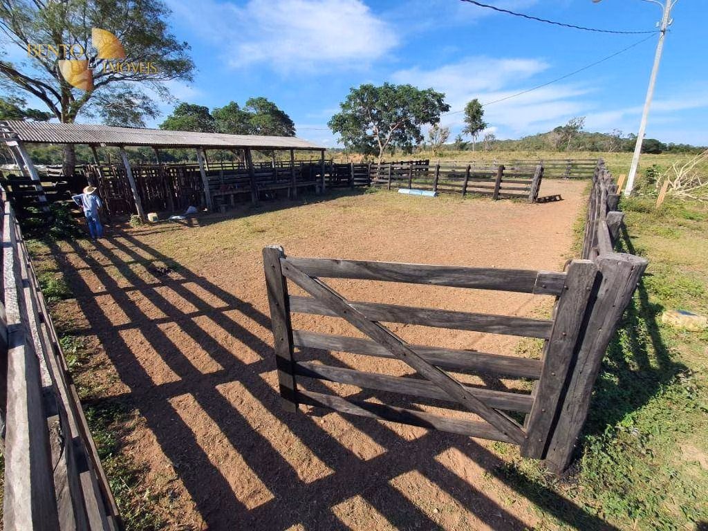 Fazenda de 1.952 ha em Poconé, MT